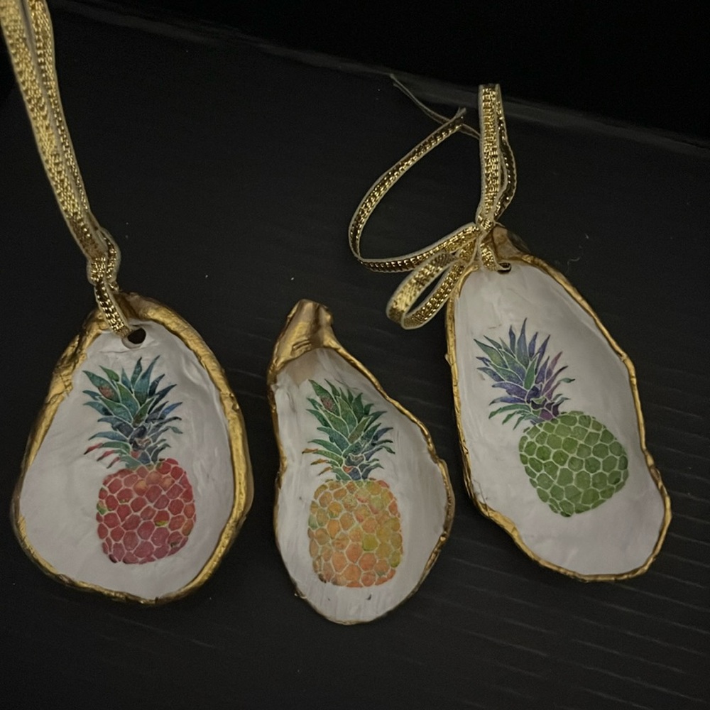 OYSTER 🦪 SEASHELLS SET of 3